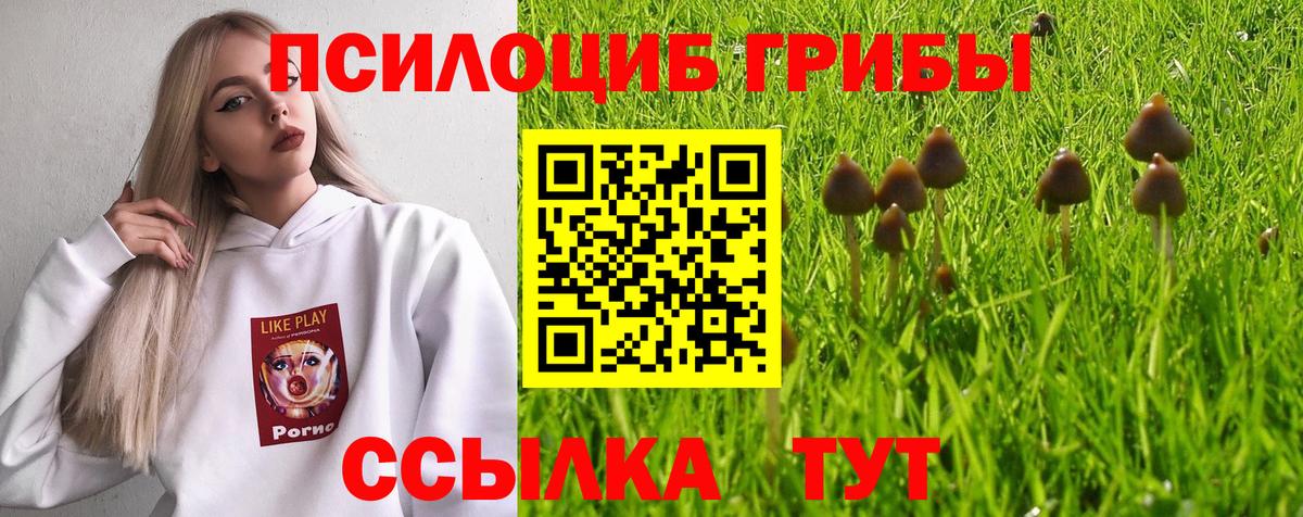 Псилоцибиновые грибы прущие грибы  Вход с VPN  Новосибирск 