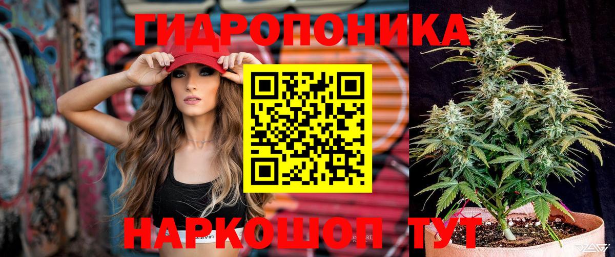 Марихуана White Widow Новосибирск
